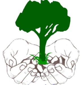 Association Mains du Développement 