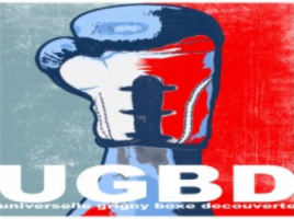 ugbd grigny boxe decouverte 