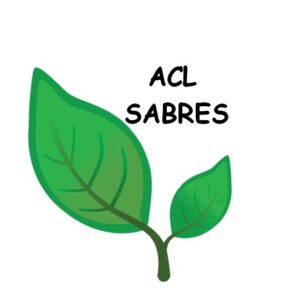 ASSOCIATION CULTURE ET LOISIRS SABRES