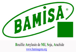 Association de Promotion du Projet BAMiSA