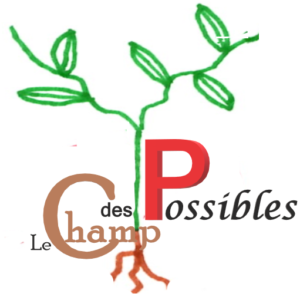 LE CHAMP DES POSSIBLES